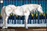 Horse Color:White Spotted Liver Red Dun Splash Rabicano Brindle