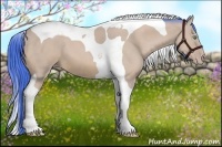 Horse Color:Watercolor Amber Cream Champagne Tobiano