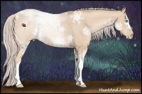 Horse Color:Palomino Ice Pearl 
