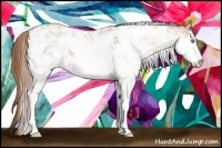 Horse Color:Smoky Black Pearl Sabino Rabicano 