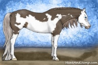 Horse Color:Chocolate Palomino Splash Frame 