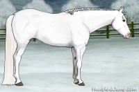 Horse Color:Silver Bay Roan Dun Varnish 