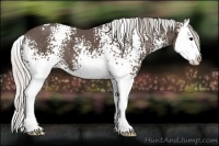 Horse Color:White Spotted Silver Black Splash 