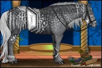 Horse Color:Silver Black Chinchilla 