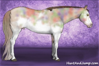Horse Color:Nacre White Spotted Liver Red Dun Pearl Sabino Splash Frame Rabicano
