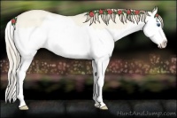 Horse Color:Perlino Dun Splash Rabicano 