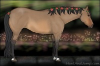 Horse Color:Bay Roan Dun 