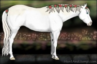 Horse Color:Perlino Roan Dun Splash 