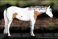 Horse Color:Silver Bay Splash Tobiano 