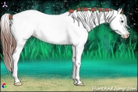 Horse Color:Chestnut Tobiano Varnish