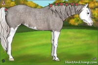 Horse Color:Silver Blue Roan Splash