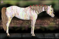 Horse Color:Red Ice Roan 