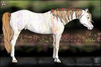 Horse Color:Gold Champagne Ice 