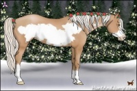 Horse Color:Silver Bay Pearl Frame 