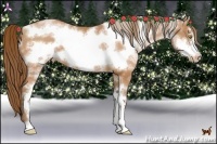 Horse Color:White Spotted Bay Pearl Frame 
