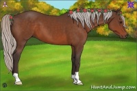 Horse Color:Silver Bay 