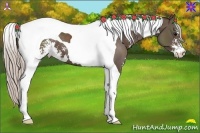 Horse Color:Silver Black Sabino Tobiano 