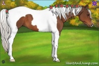 Horse Color:Silver Bay Tobiano 