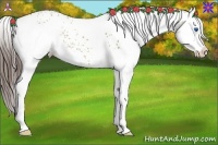 Horse Color:White Spotted Liver Red Dun Splash 