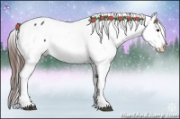 Horse Color:Brown Appaloosa 