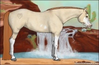 Horse Color:Red Dun Roan Splash Frame Rabicano 