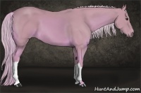Horse Color:Watercolor Palomino 