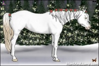 Horse Color:Red Dun Pearl Sabino Splash Blanket