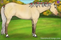 Horse Color:Silver Bay Dun 