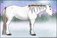 Horse Color:Brown Snowflake VarnishRabicano 