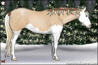 Horse Color:Chestnut Pearl Splash