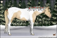 Horse Color:Red Dun Pearl Tobiano