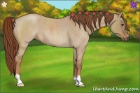 Horse Color:Red Dun Roan 