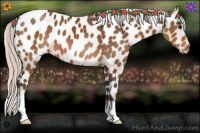 Horse Color:Silver Brown Appaloosa 
