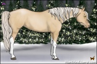 Horse Color:Silver Bay Pearl Dun Tobiano 