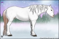 Horse Color:Brown Appaloosa