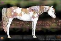 Horse Color:Nacre White Spotted Chestnut Splash 