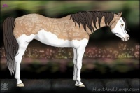 Horse Color:Amber Champagne Ice Splash 