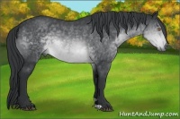 Horse Color:Brown Chinchilla