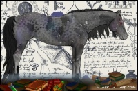 Horse Color:ERROR: UNKNOWN ANOMALY and ERROR: UNKNOWN ANOMALY