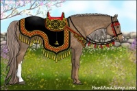 Horse Color:Chocolate Palomino Rabicano 