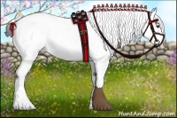Horse Color:White Spotted Liver Chestnut Varnish 