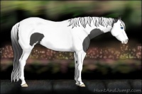 Horse Color:Smoky Black Sabino Splash Tobiano