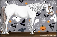 Horse Color:Bay Splash Appaloosa 