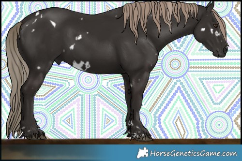 Horse Color:White Spotted Liver Chestnut 