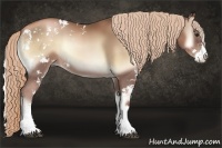 Horse Color:Liver Red Onyx Pearl Sabino Rabicano