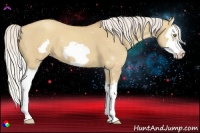Horse Color:Silver Classic Champagne Dun Splash Frame