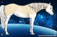 Horse Color:Silver Classic Champagne Dun Splash