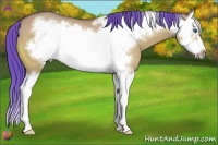 Horse Color:Watercolor Bay Dun Splash Frame 