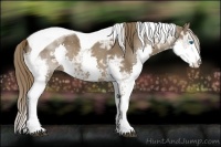 Horse Color:Liver Chestnut Ice Sabino Splash Tobiano 