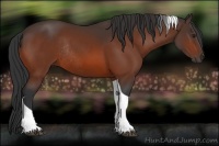 Horse Color:Bay Tobiano Rabicano